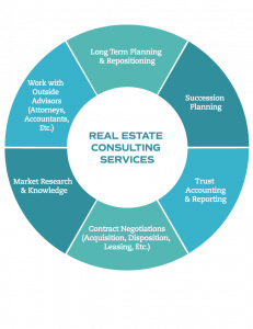 Real Estate Consulting Service