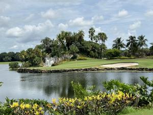 The Falls of the Palm Beaches