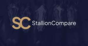 Introducing StallionCompare.com: Revolutionizing the Stock Horse Breeding Industry with Innovative Tools for Breeders