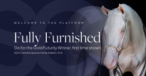 Welcoming latest stallion added to our site, Fully Furnished.