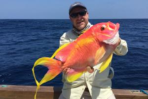 Sea Fishing