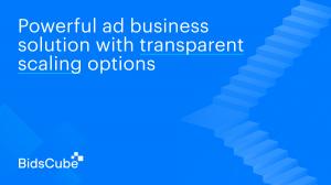 BidsCube Ad Exchange PRO