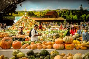 Displays of colorful heirloom squash on tables in a fairgrounds expo hall.