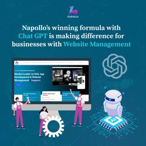 Napollo - The website management company