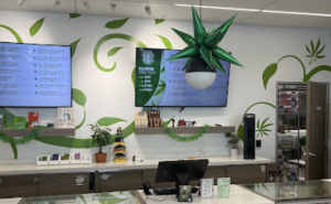 Cannabis Dispensary Store in Las Vegas