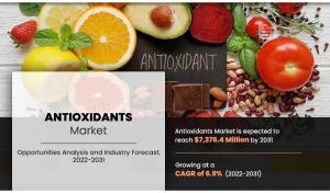 Antioxidants Market 2023 | Global Trends, Size, Share, Analysis and Research Report, Forecast, 2031