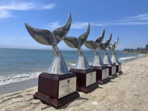 Global shipping companies receive awards for reducing speeds off California coast to protect blue whales and blue skies