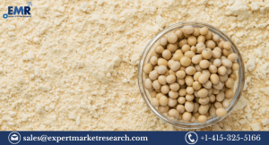 Soy Protein Market