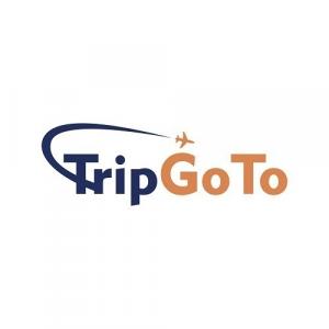 online flight tickets booking, TripGoTo