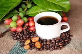Organic Coffee Market