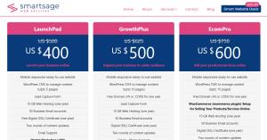 WordPress Website Package Deals @ 20% discount by SmartSage Web Services