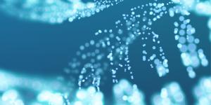 Digital Biomarker