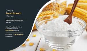 Food Starch 