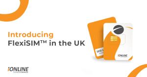Introducing FlexiSIM