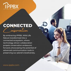 Connected Conversation
