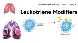 Leukotriene Modifiers Market