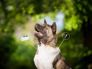 Pet GPS Tracker Market