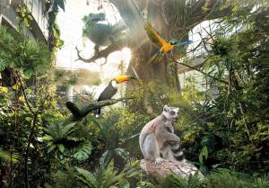 Animals of The Green Planet living in harmony birds and lemma