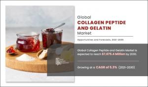 collagen peptide and gelatin market