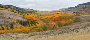 Fall foliage lights up the landscapes in Wind River Country.