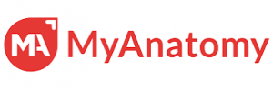 MyAnatomy Integration Logo