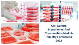 cell culture market