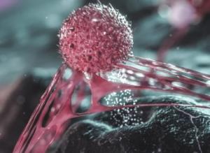 CAR-T/CAR-NK Cells Development for Drug Delivery Systems