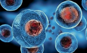 Stem Cell Therapy Market3
