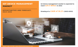 IoT Device Management Market Size