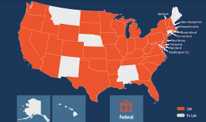 map of the USA, showing which nine states do not currently have a law against female genital mutilation and cutting