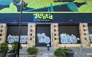Weed Dispensary in Oakland