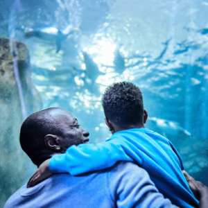 father and son exploring aquarium in Salt Lake