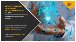 The Global NLP Market Size