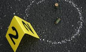Ballistic Analysis System Market