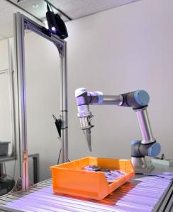 Pic-Q (Image: social media of PLAIF)