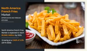 North America French fries market