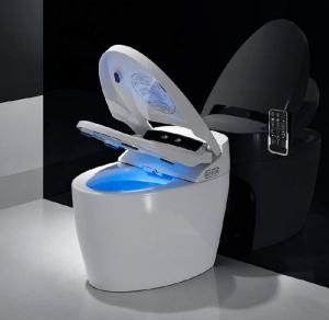 Intelligent Toilet Seat market