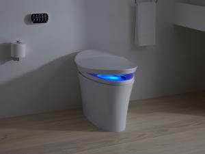 Smart (Intelligent) Toilet Market