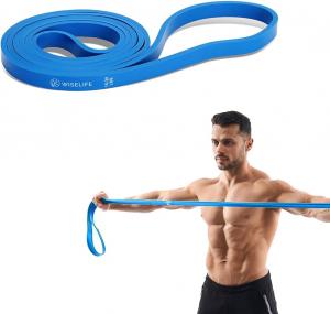 Fitness Bands