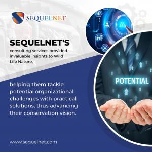 SequelNet, the Premier Managed IT Service Provider, Elevates ‘Wild Life Nature’s’ Mission with Advanced IT Solutions