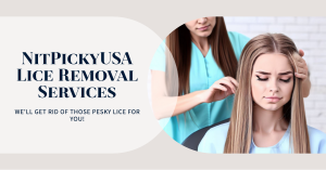 NitPicky USA: Lice Treatment with Natural, Non-Toxic Solutions