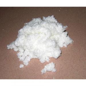 Nitrocellulose Market Share