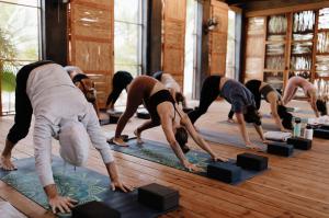 Host Yoga Retreat at Tribu Todos Santos