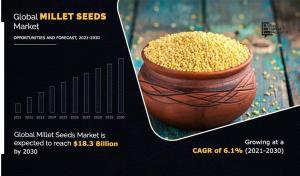 Millet Seeds 