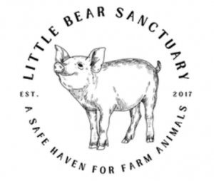 Little Bear Sanctuary logo include the text - est. 2017 A Safe Haven for Farm Animals, and an illustration of a happy little pig