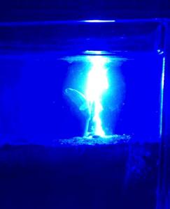 Blue laser weeding crops under water