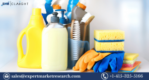 north-america-household-care-market