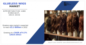 Glueless Wigs  Market -amr