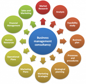 Business Management Consulting Services Market