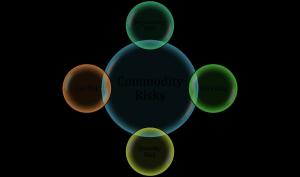 Commodity Trading Risk Management (CTRM) software Market